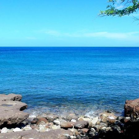 Paradise Bay Deshaies Exterior foto